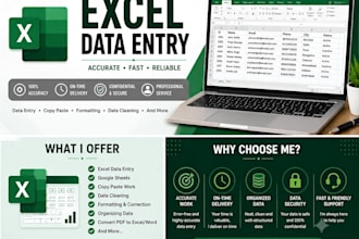 excel data entry and spreadsheet formatting