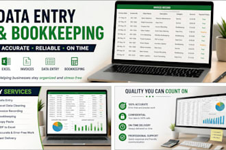 do accounting data entry, bookkeeping and excel and software