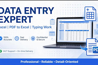 do accurate data entry, excel data entry, pdf to excel and mis reporting