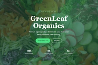 create a professional website or landing page