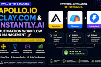 set up apollo io automation workflow and management , instantly ai , clay com