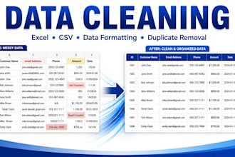 clean and organize your excel or CSV data