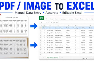convert PDF or images to excel manually
