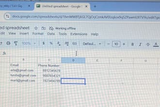 do accurate data entry, google sheets and excel work