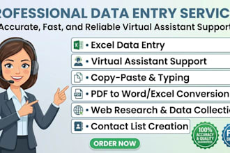 do accurate data entry and excel data typing
