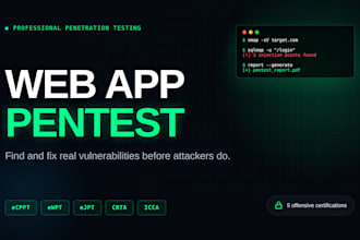 perform a professional penetration test on your web app or network