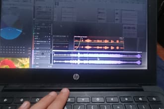 voice over for all audio projects you may have and editing