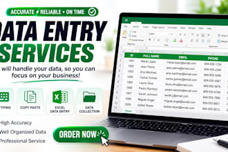 do accurate data entry, copy paste and web reseach
