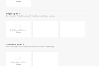 be your shopify ecommerce mentor
