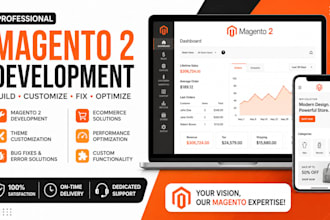 build a professional magento 2 ecommerce website