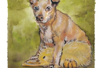 hand paint a watercolor pet portrait with free US shipping