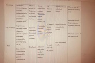do the best nursing care plans for you
