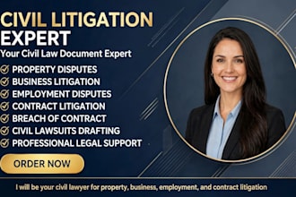 employment lawyer in newyork for contract review, harassment, civil law,tort law