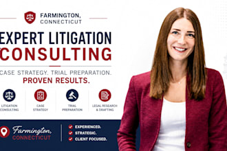 provide expert legal consulting and trial strategy for your case