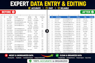 do data entry and editing