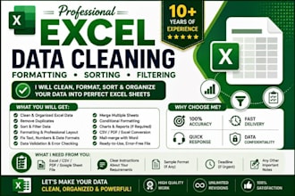 do advanced excel data handling cleaning and data entry formatting