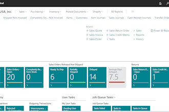 do business central developer