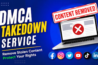 file a professional dmca takedown notice to remove stolen content