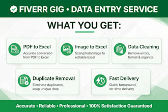 do excel data entry  google sheets  formatting and cleanup