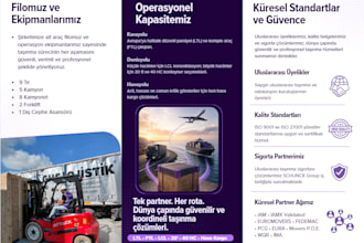 design a pro flyer, brochure or business card in canva