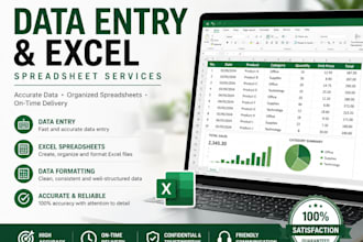 do accurate data entry and excel spreadsheet work