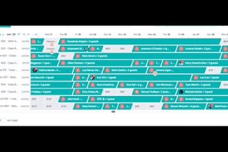 be your airbnb virtual assistant and revenue manager