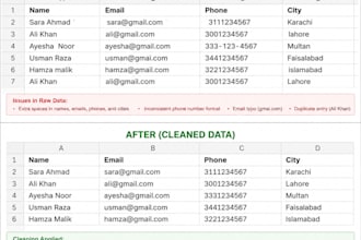 do data cleaning and formatting