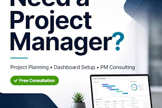 develop a project plan