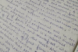 handwrite neat study notes for students