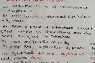 handwrite your notes or content in neat aesthetic handwriting