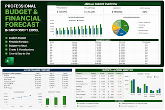 create a professional business budget and financial plan