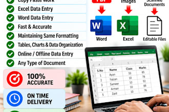 do accurate data entry, typing and copy paste work