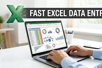 do accurate excel data entry, and copy paste work