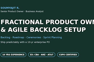 be your fractional product owner and set up your agile backlog