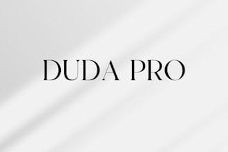 design or redesign showit