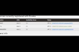 develop java spring boot rest API, backend and fix java bugs