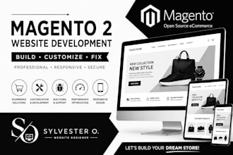 build a professional magento 2 ecommerce website