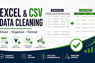 clean, organize, and format your excel or CSV data