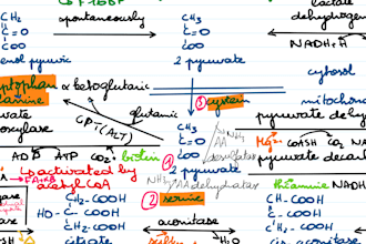 teach you medical biochemistry and molecular biology