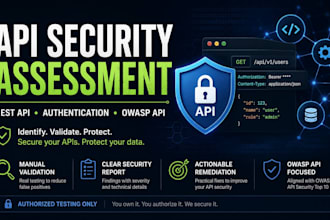 perform an API security assessment and vulnerability testing