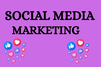 do social media marketing campaign for business growth