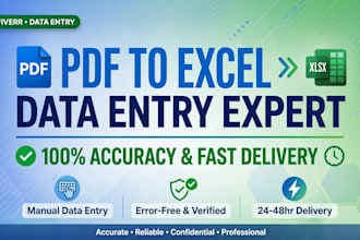 do data entry,pdf to image to excel typing accurately