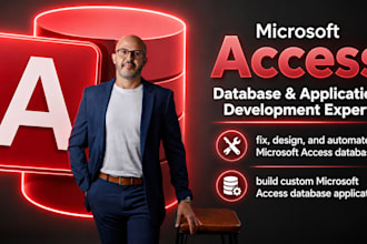 develop microsoft access database application , convert excel to access