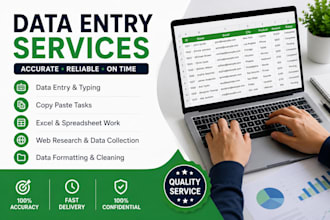 do accurate data entry excel copy paste and web reasearch
