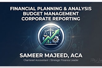 financial planning analysis and fractional cfo