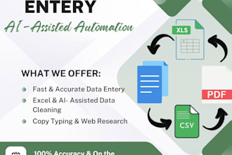 do excel data entry with ai assisted data cleaning and automation
