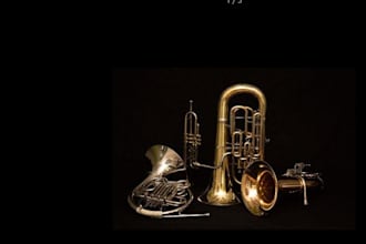 record trumpet, cornet, tuba, sousaphone, flugelhorn, trombone, and didgeridoo