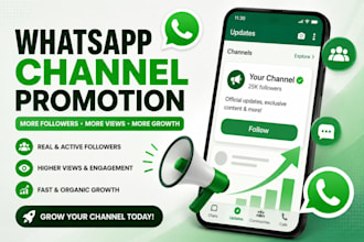 do organic whatsapp channel followers promotion