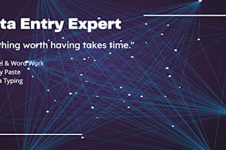 professional data entry and excel copy paste work