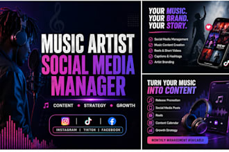 be your music artist social media manager and content creator